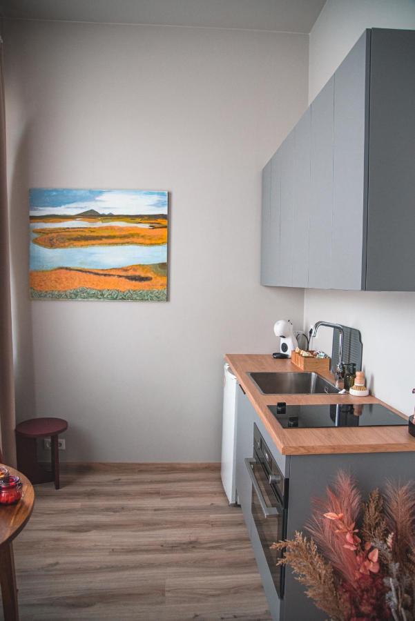 Cozy Studio By The City Centre Daire Reykjavík Dış mekan fotoğraf