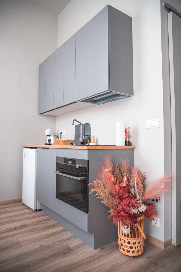 Cozy Studio By The City Centre Daire Reykjavík Dış mekan fotoğraf